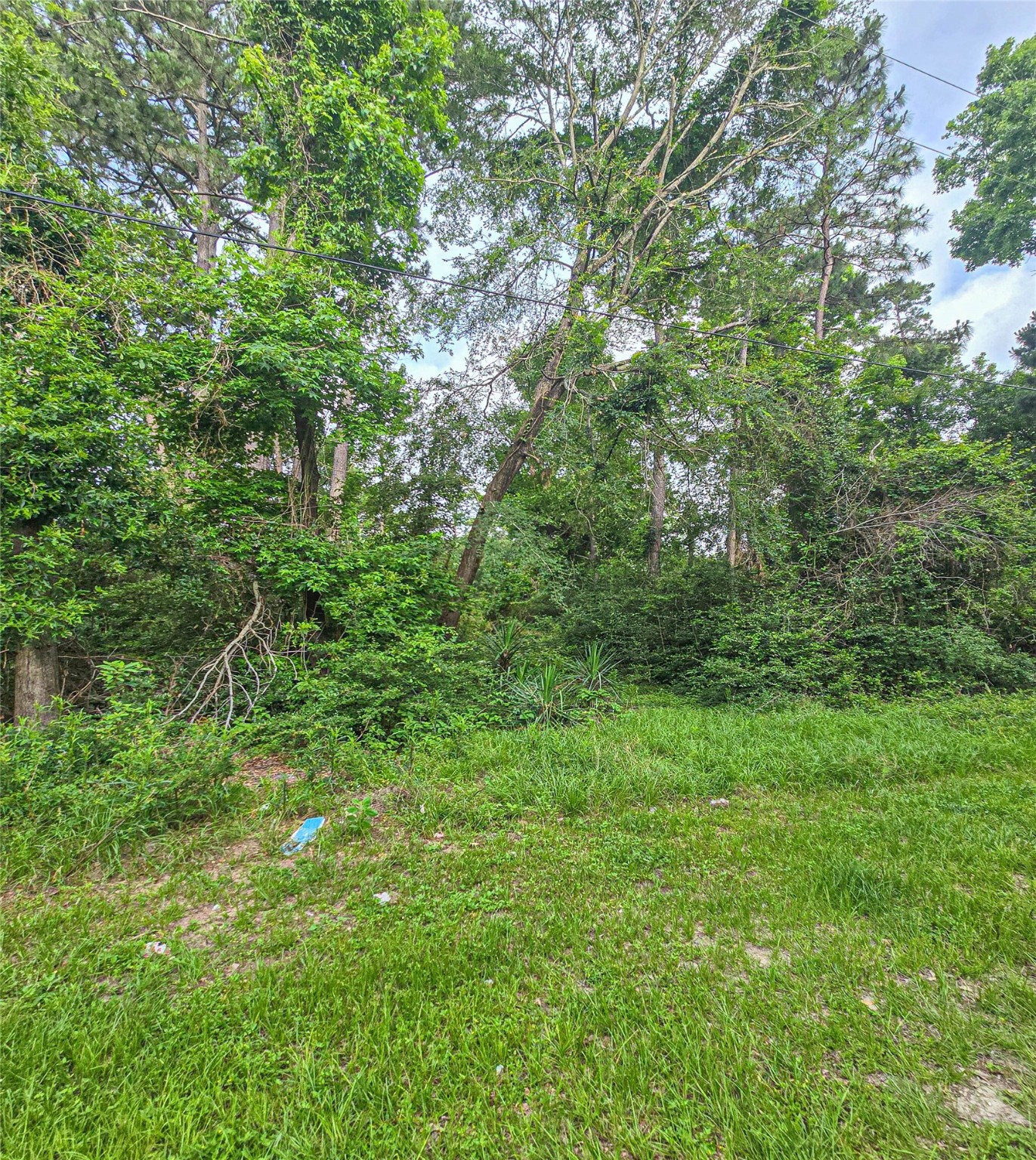 Tbd Jaguar N Property Photo