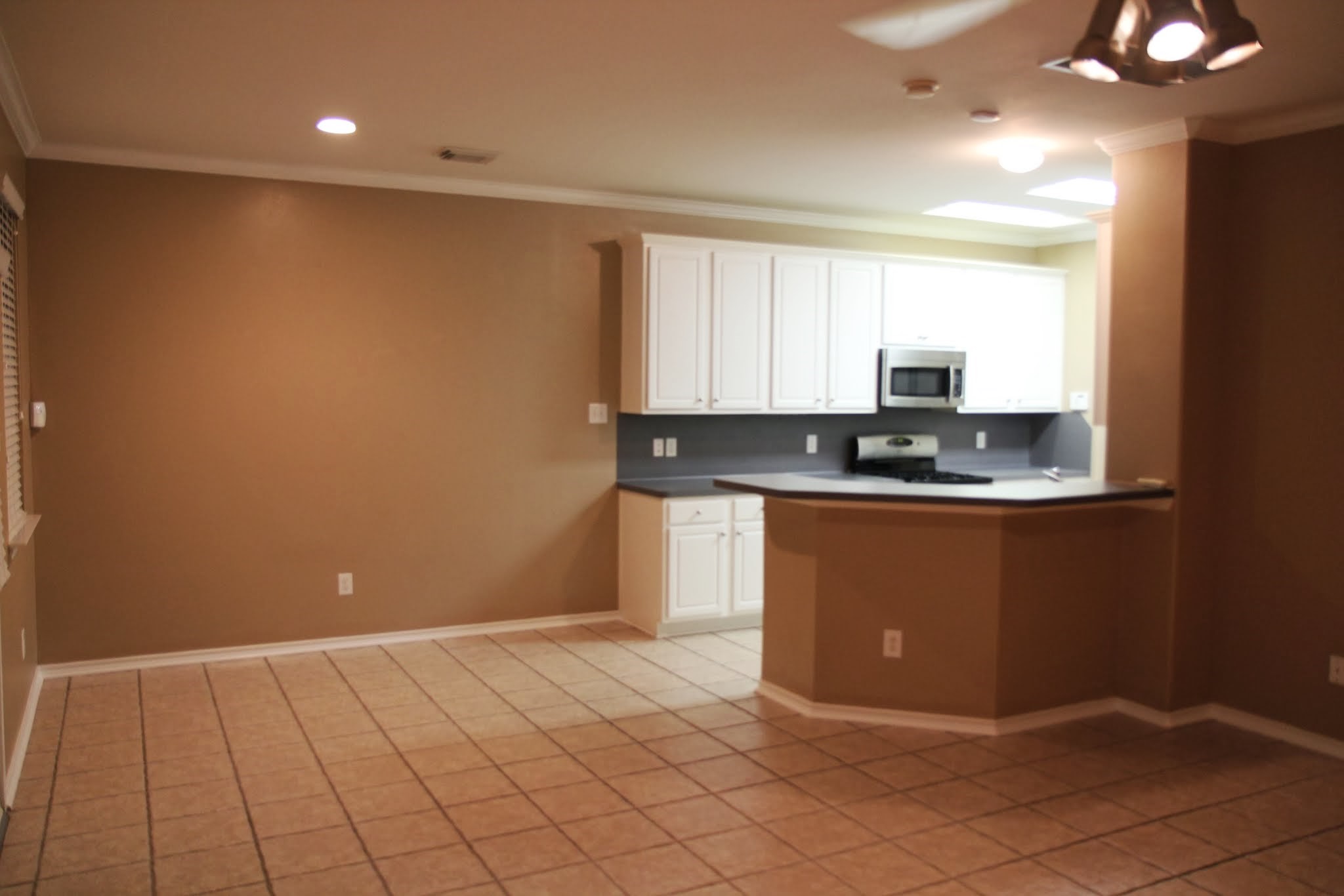 142 N Camellia Grove Circle Property Photo 7
