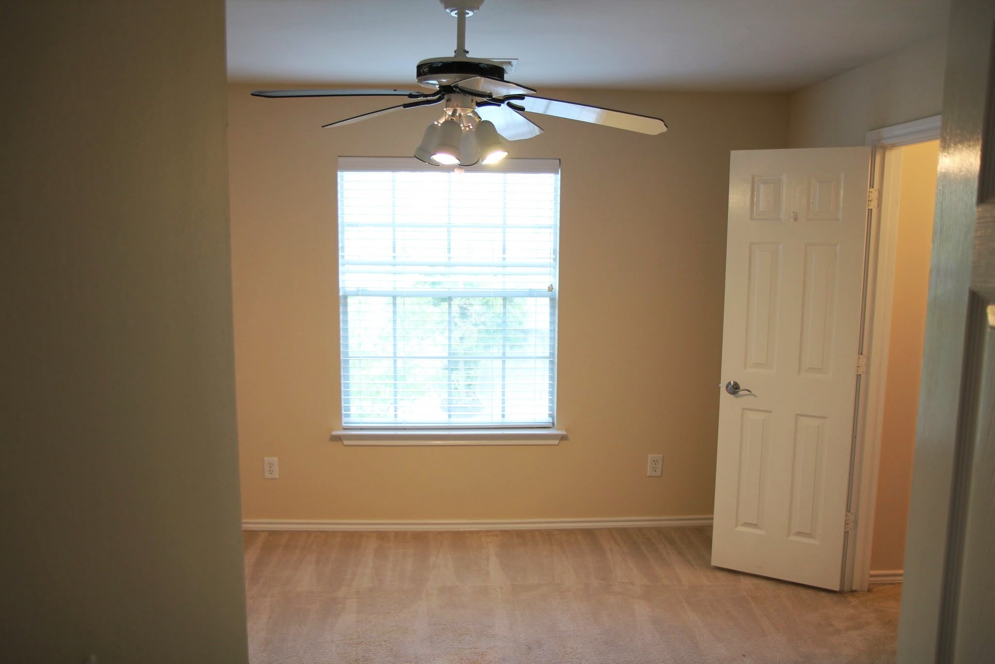 142 N Camellia Grove Circle Property Photo 16