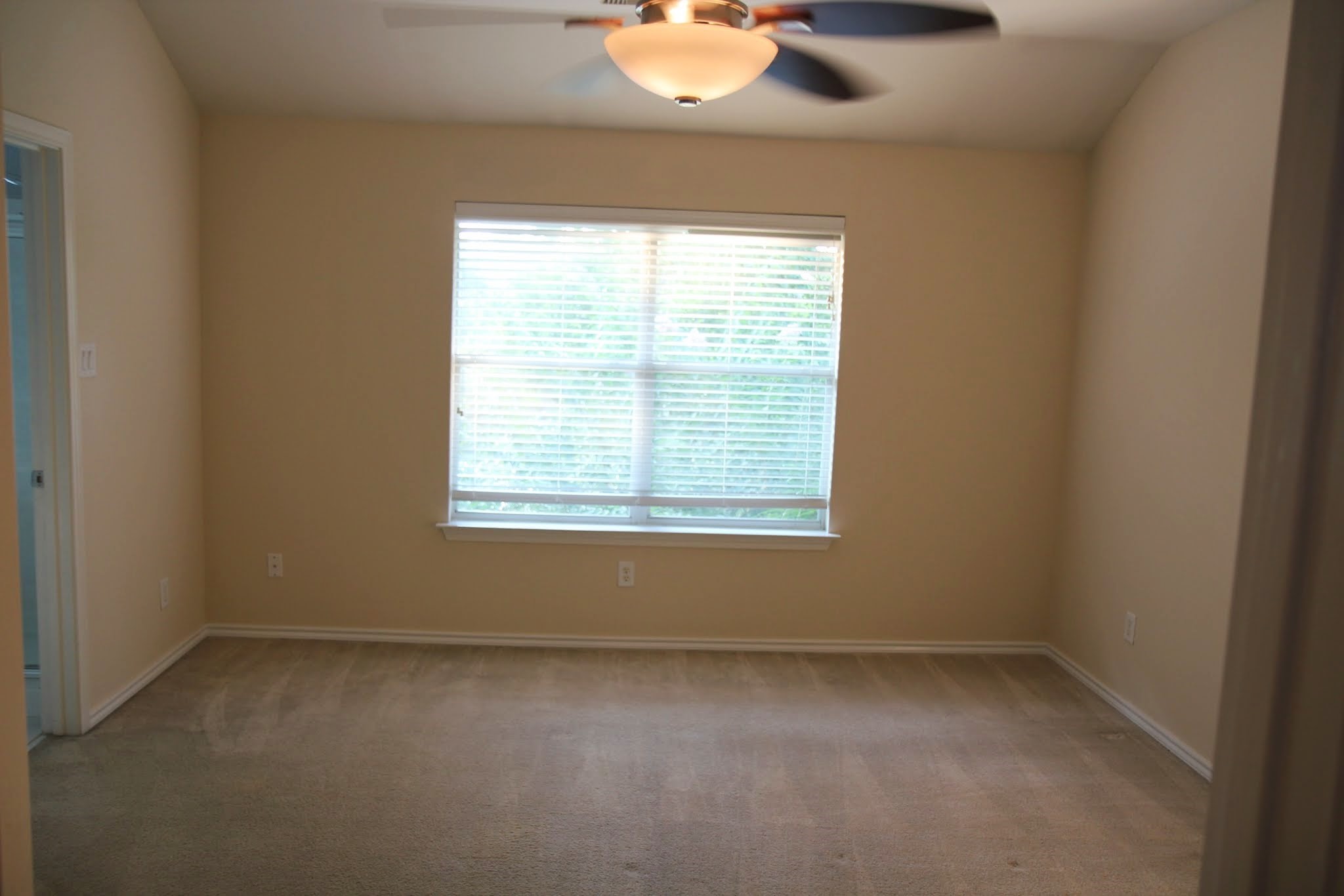 142 N Camellia Grove Circle Property Photo 21