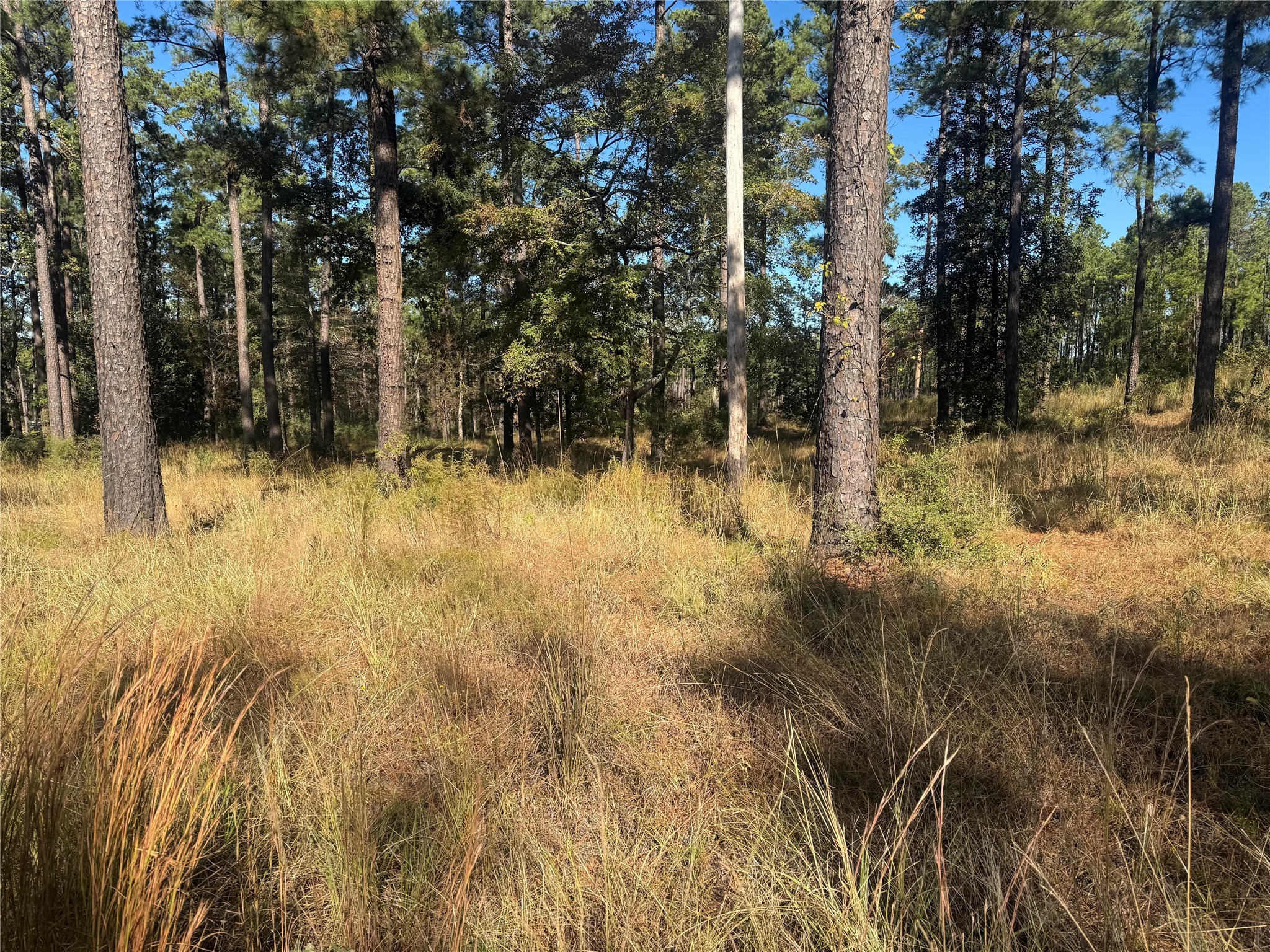 061 Private Road 6026 Property Photo 1