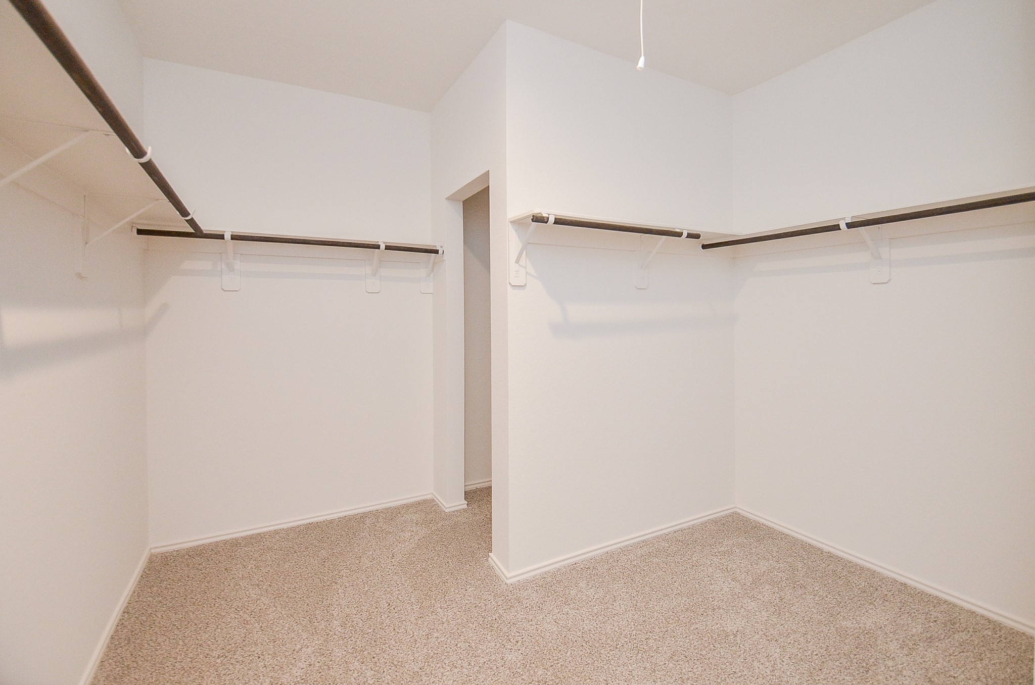 31303 Heddington Lane Property Photo 15