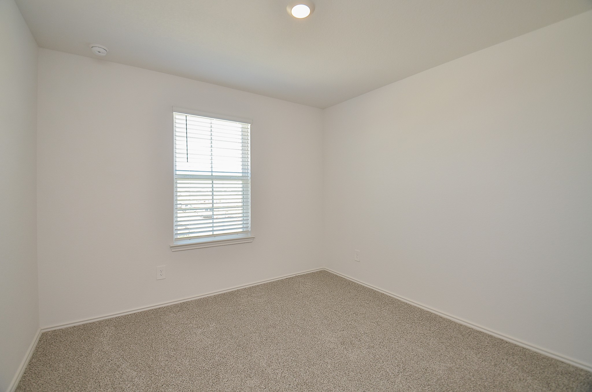 31303 Heddington Lane Property Photo 22