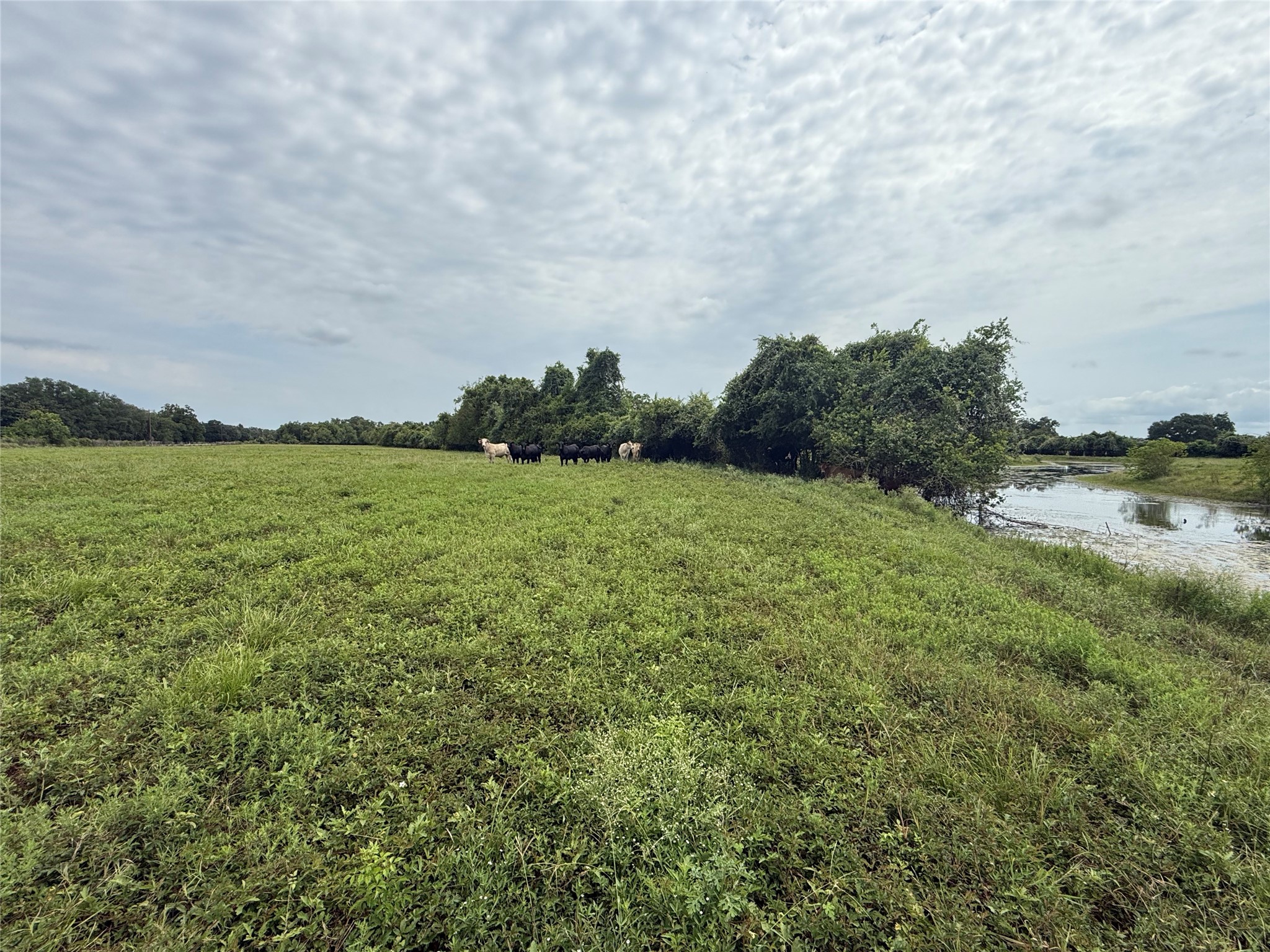 0 Cr 334 Property Photo 3