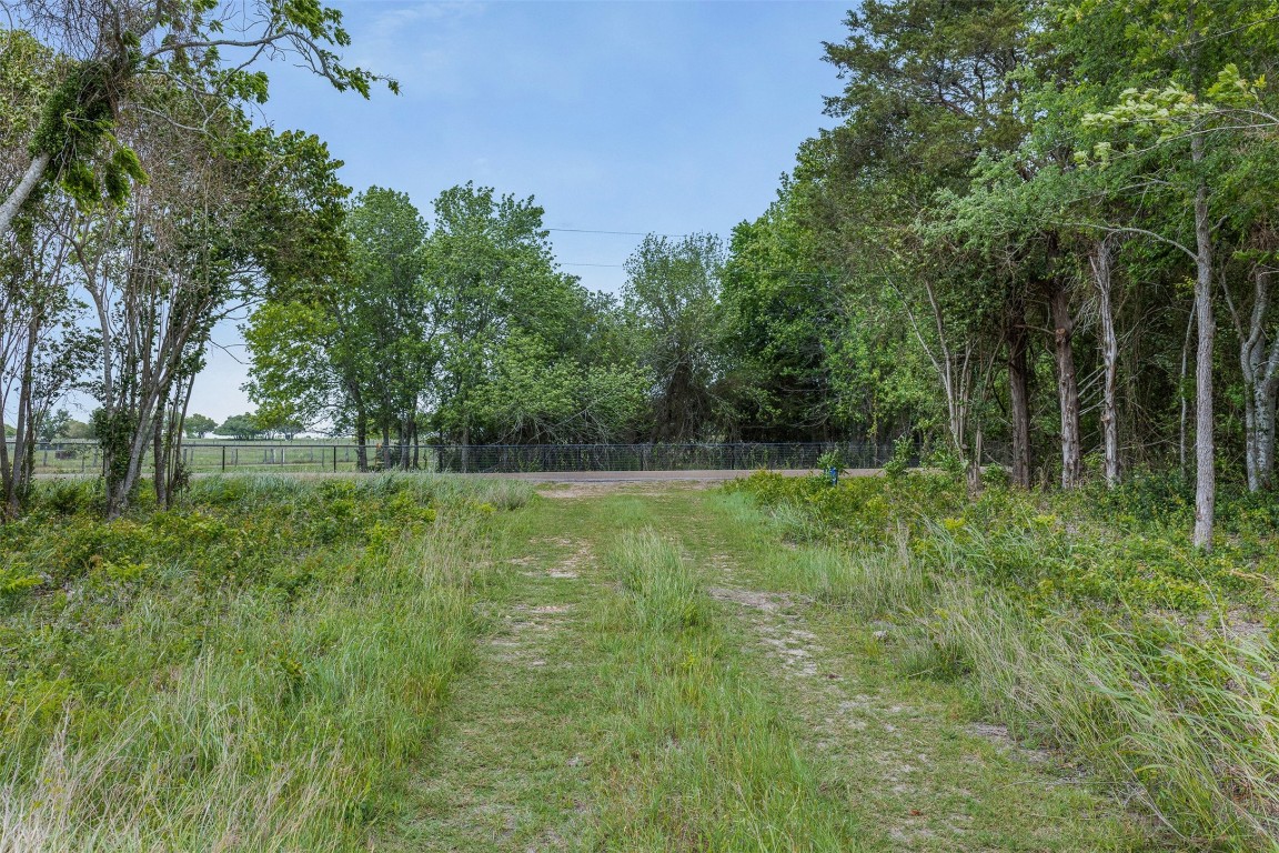 Tbd Bauer Rummel Road Property Photo 5