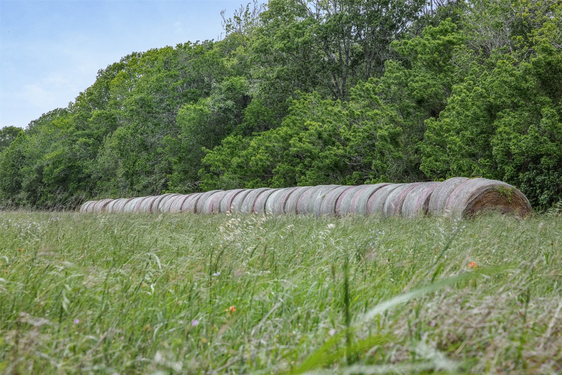 Tbd Bauer Rummel Road Property Photo 6