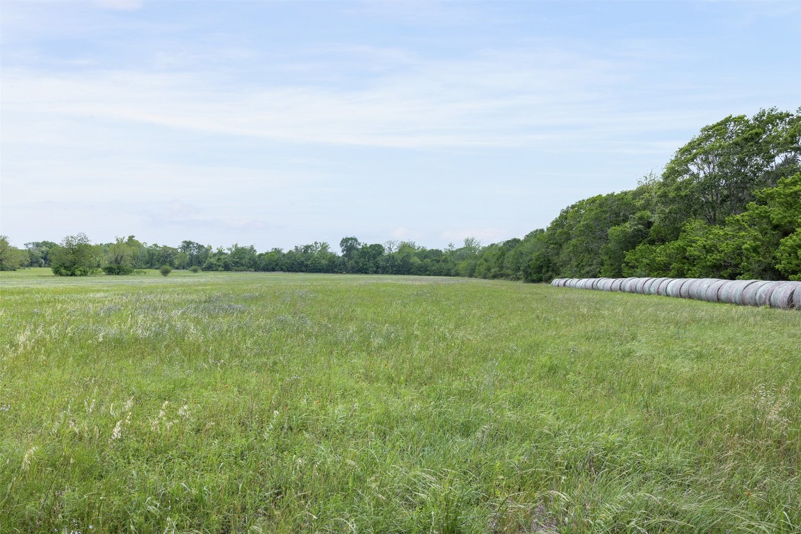 Tbd Bauer Rummel Road Property Photo 7