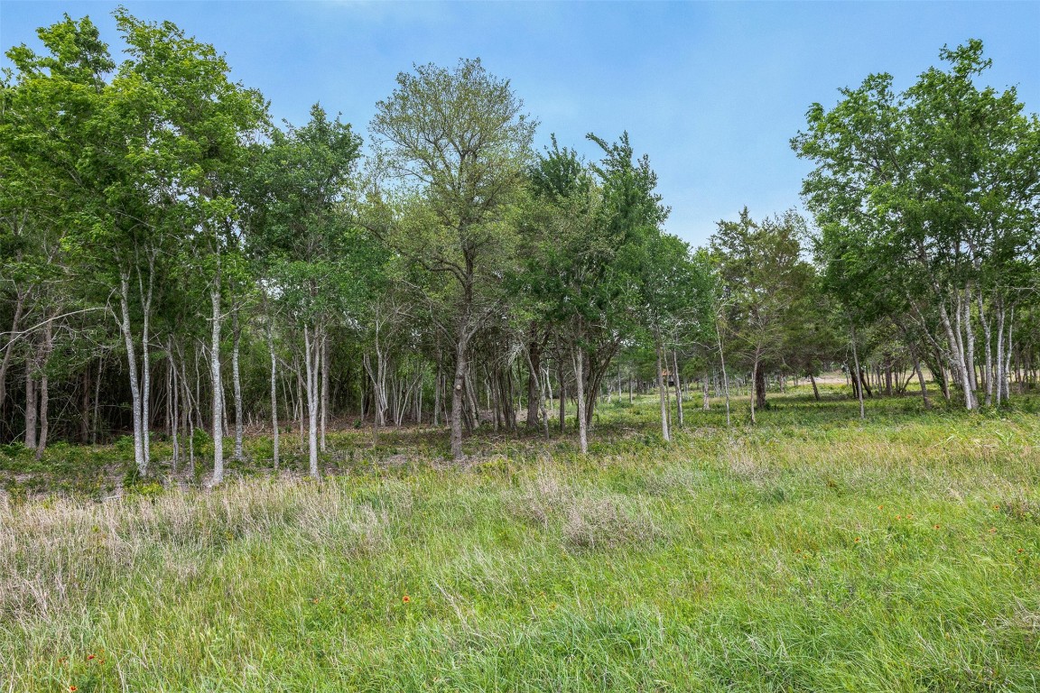 Tbd Bauer Rummel Road Property Photo 8