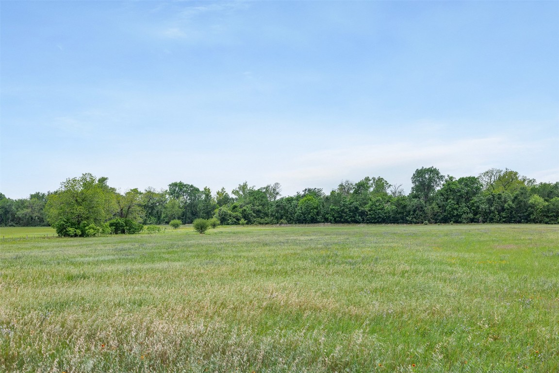 Tbd Bauer Rummel Road Property Photo 10