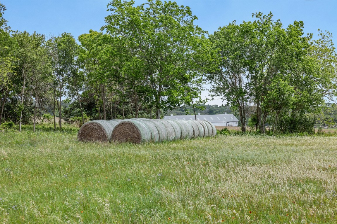 Tbd Bauer Rummel Road Property Photo 11