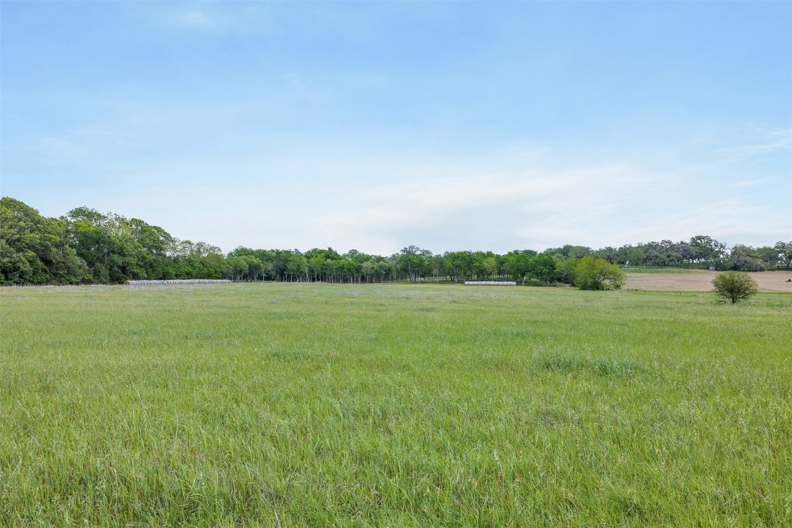 Tbd Bauer Rummel Road Property Photo 12