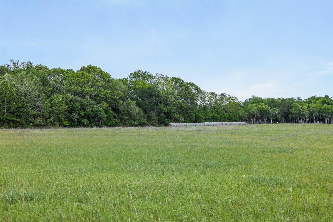 Tbd Bauer Rummel Road Property Photo 13