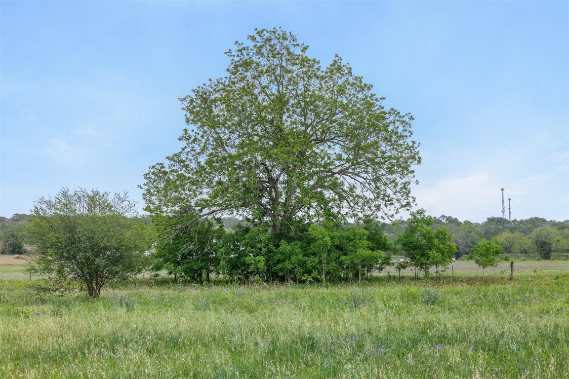 Tbd Bauer Rummel Road Property Photo 14