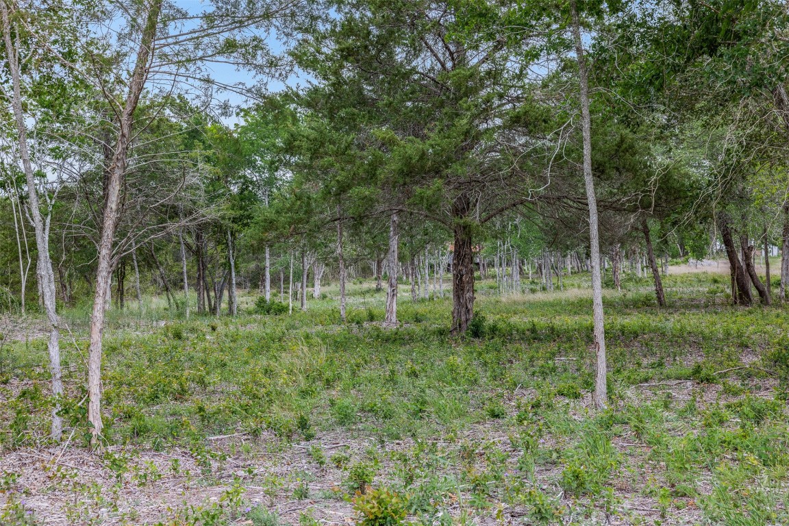 Tbd Bauer Rummel Road Property Photo 15