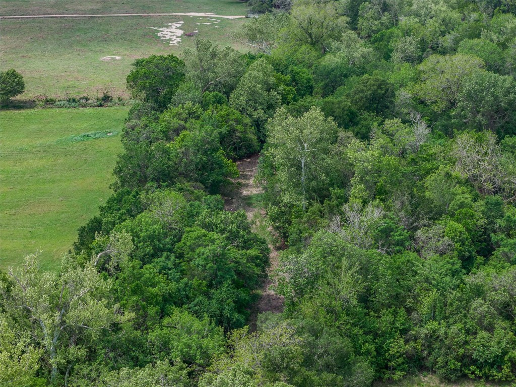 Tbd Bauer Rummel Road Property Photo 21