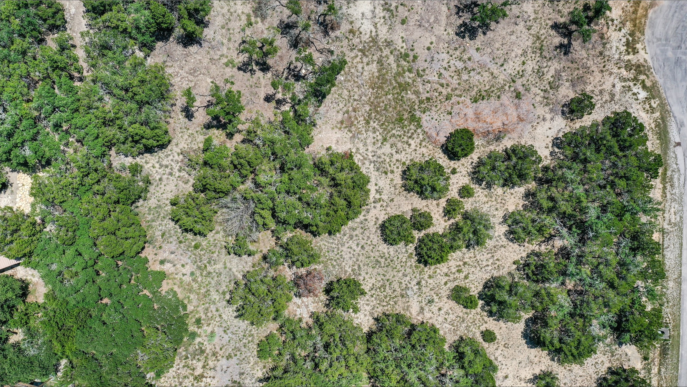 355 Nighthawk Property Photo 7
