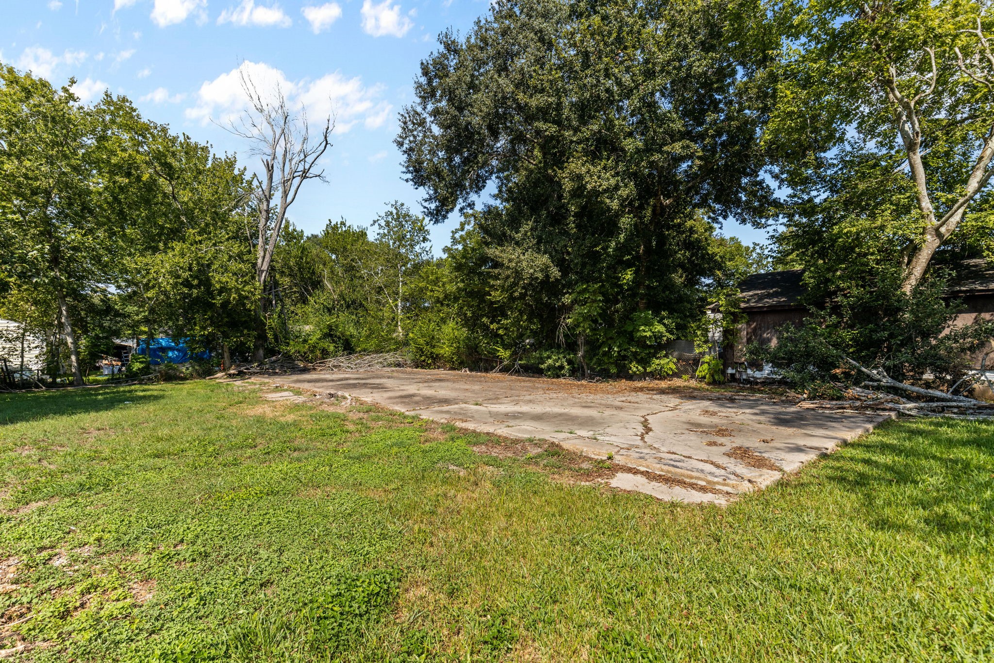 212 Woodward Street Property Photo 6
