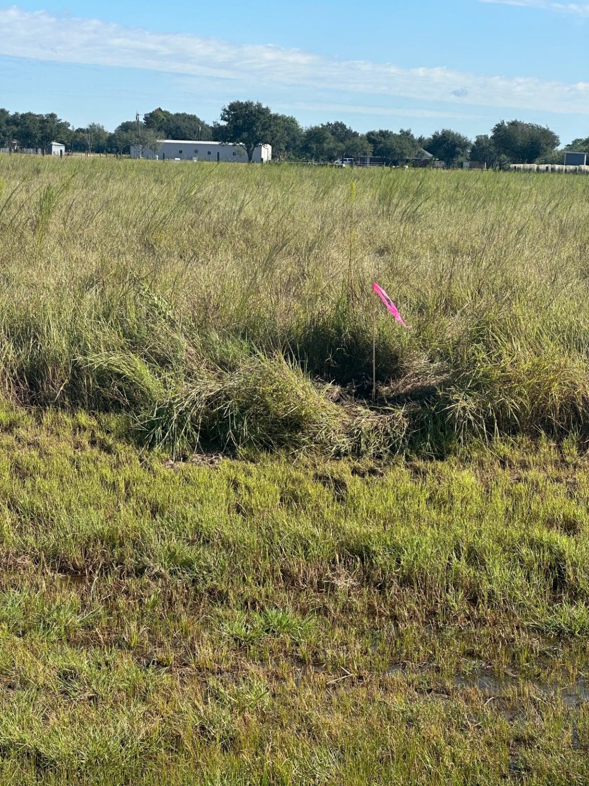 0 Highway 36 S Expressway S Property Photo 1