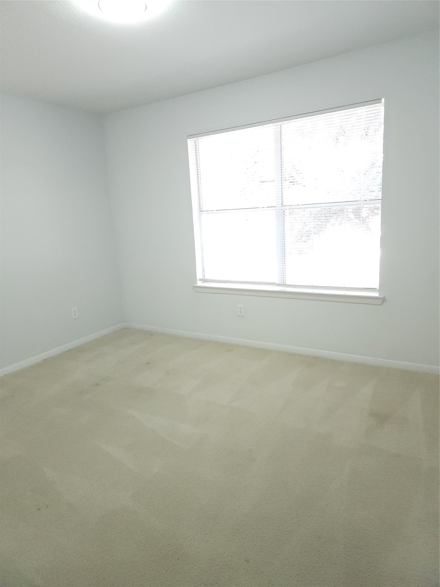 6519 Gorton Drive Property Photo 11