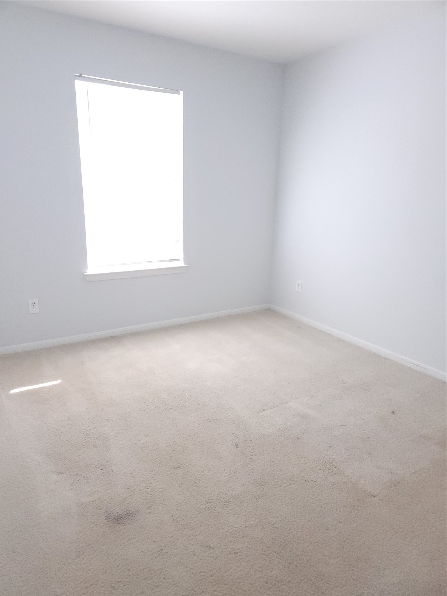 6519 Gorton Drive Property Photo 13