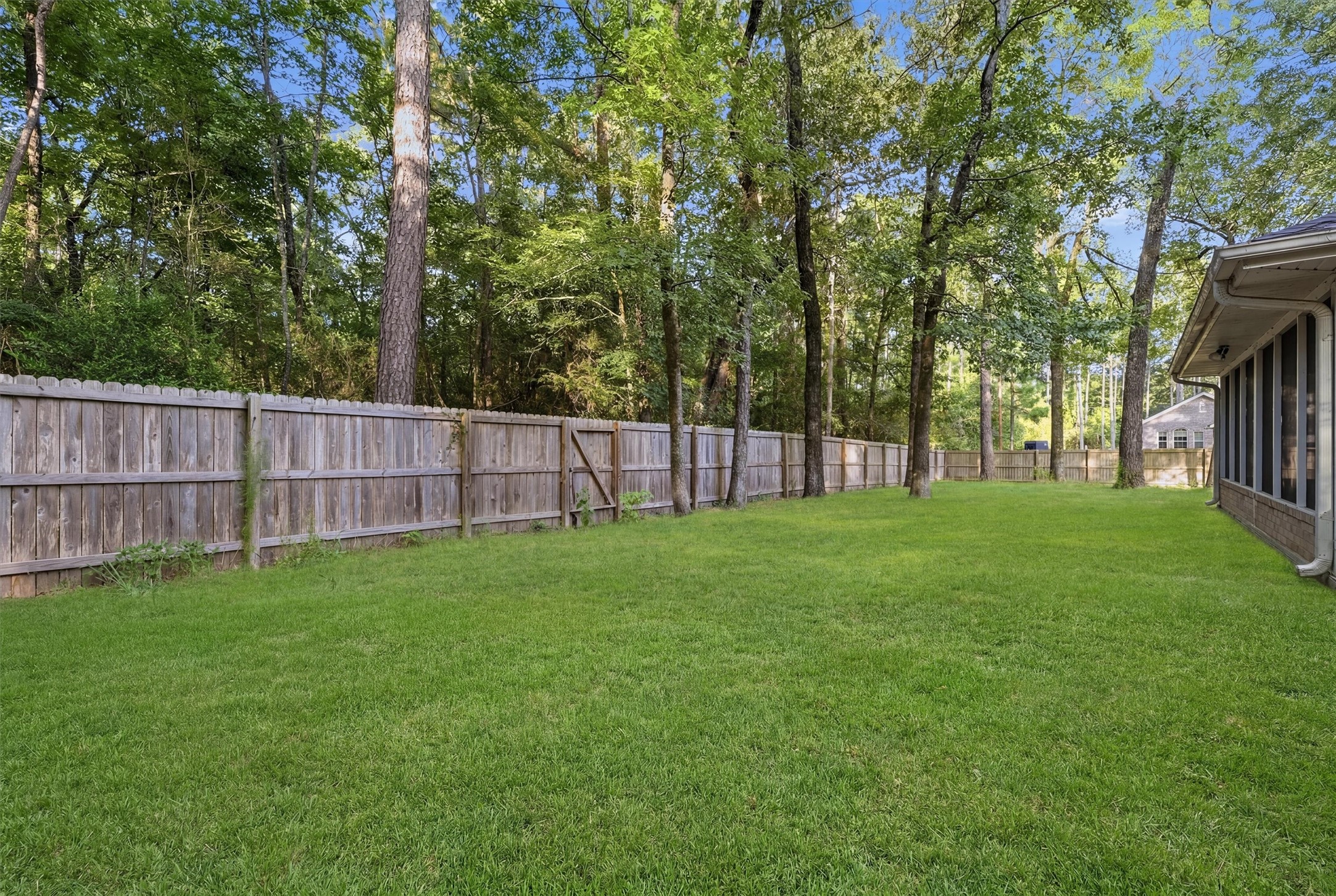 6 Lost Forest Property Photo 29