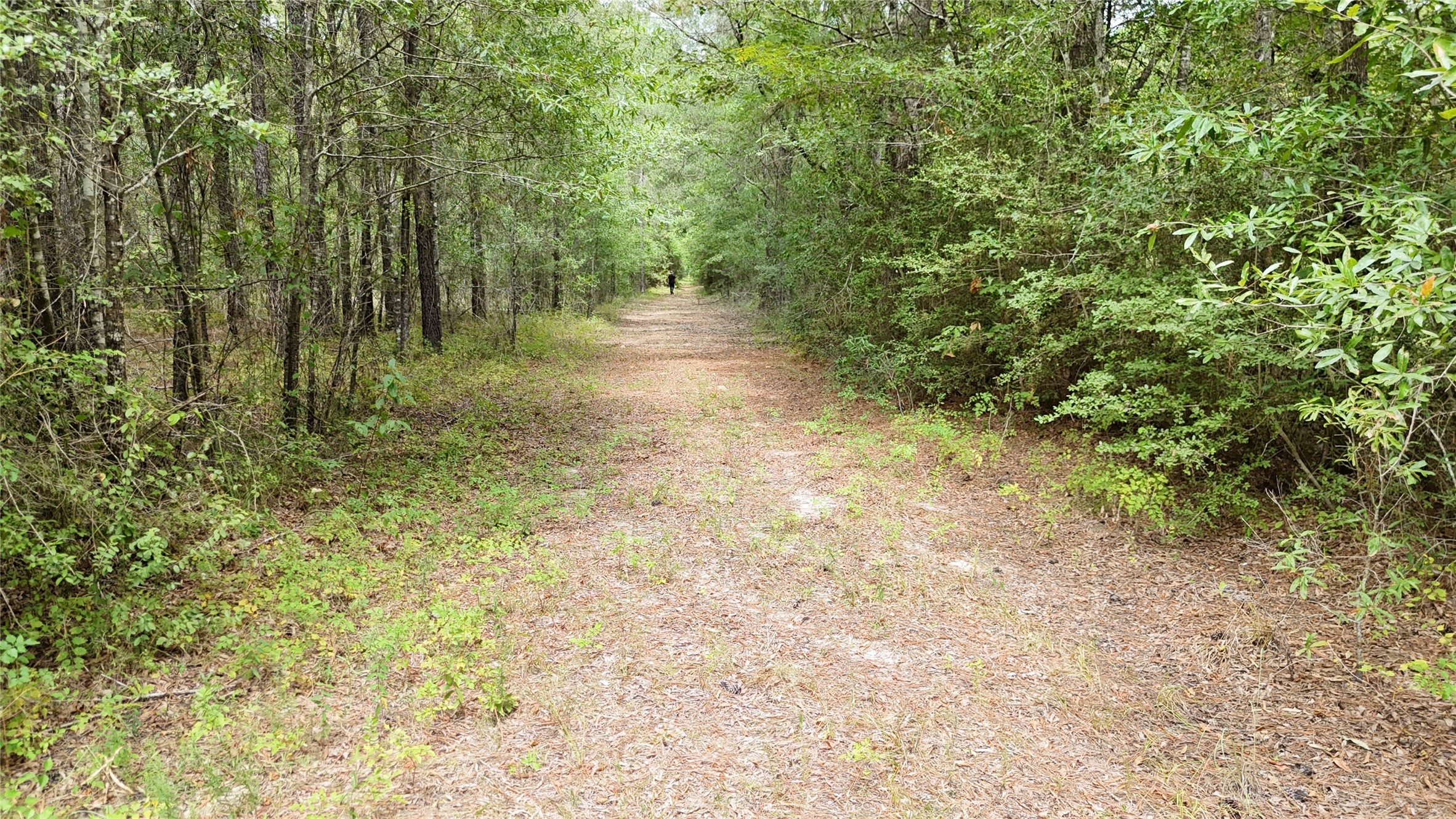 Tbd Douglas Nugent Road Property Photo 3