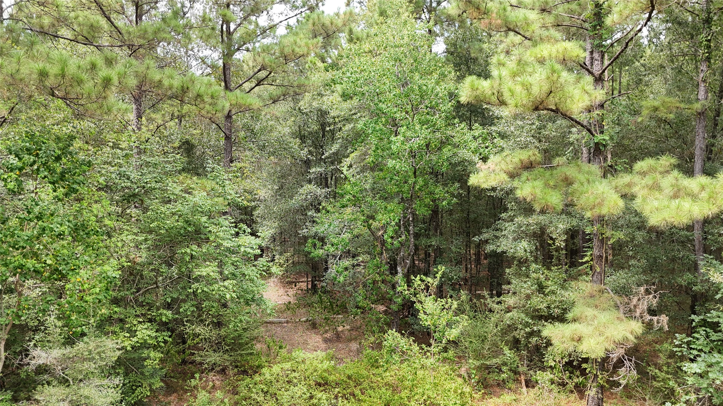 Tbd Douglas Nugent Road Property Photo 4