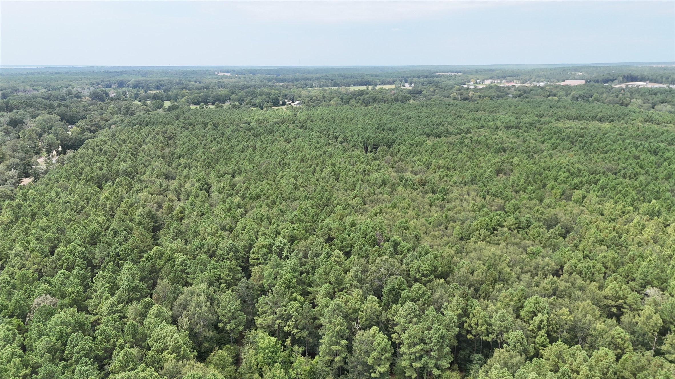 Tbd Douglas Nugent Road Property Photo 5