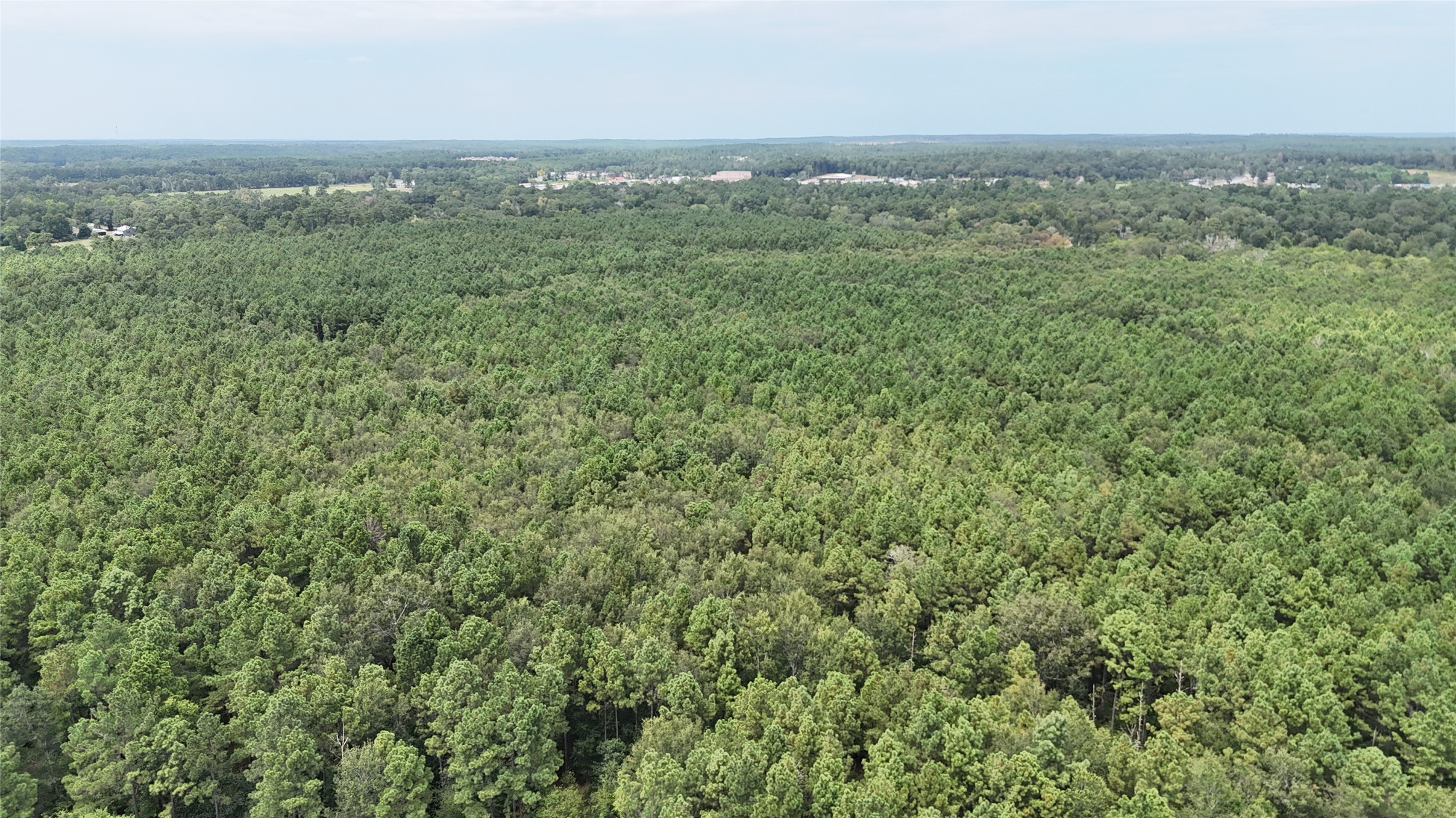 Tbd Douglas Nugent Road Property Photo 6