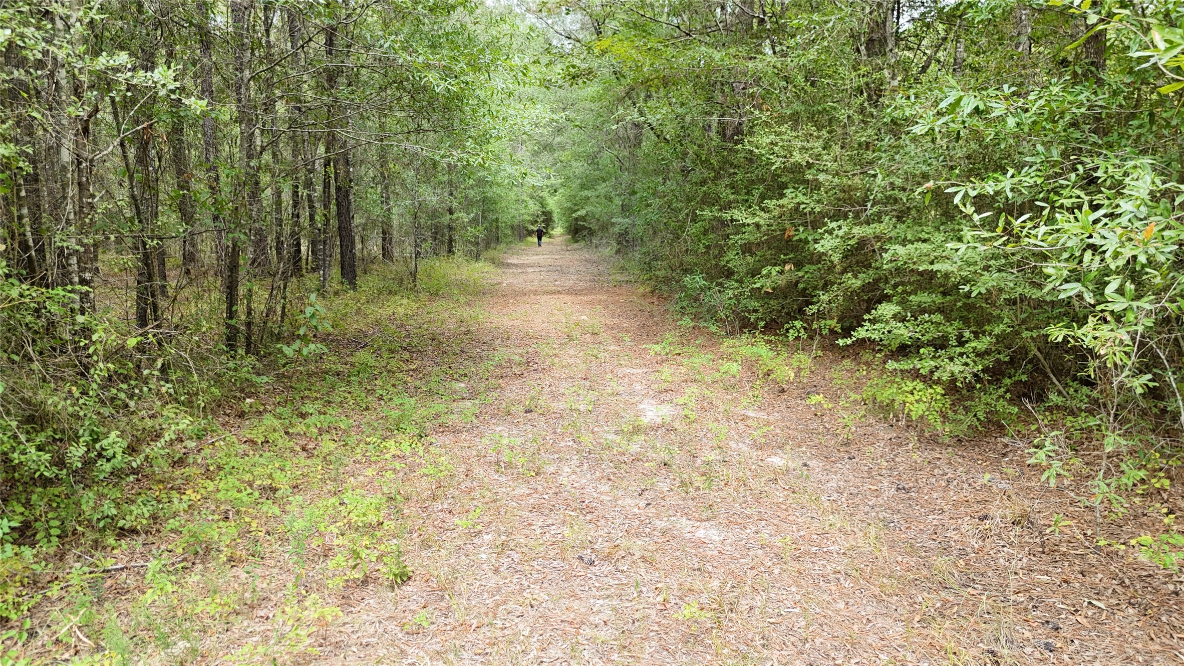 Tbd Douglas Nugent Road Property Photo 10
