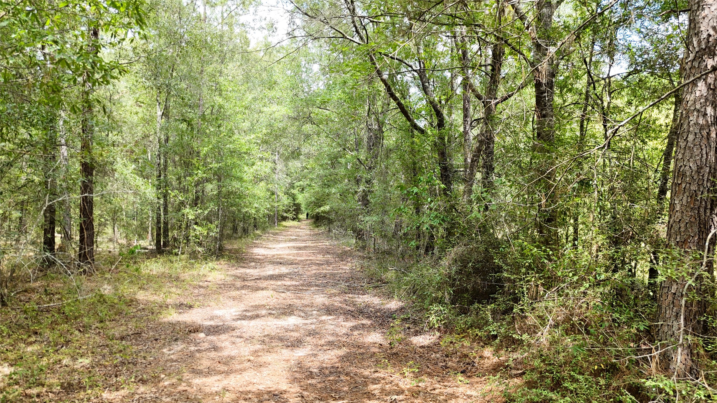 Tbd Douglas Nugent Road Property Photo 15