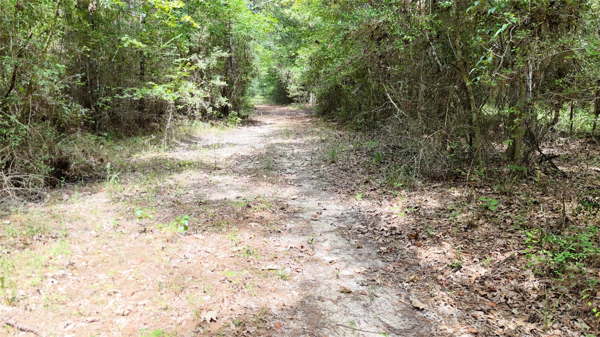 Tbd Douglas Nugent Road Property Photo 19