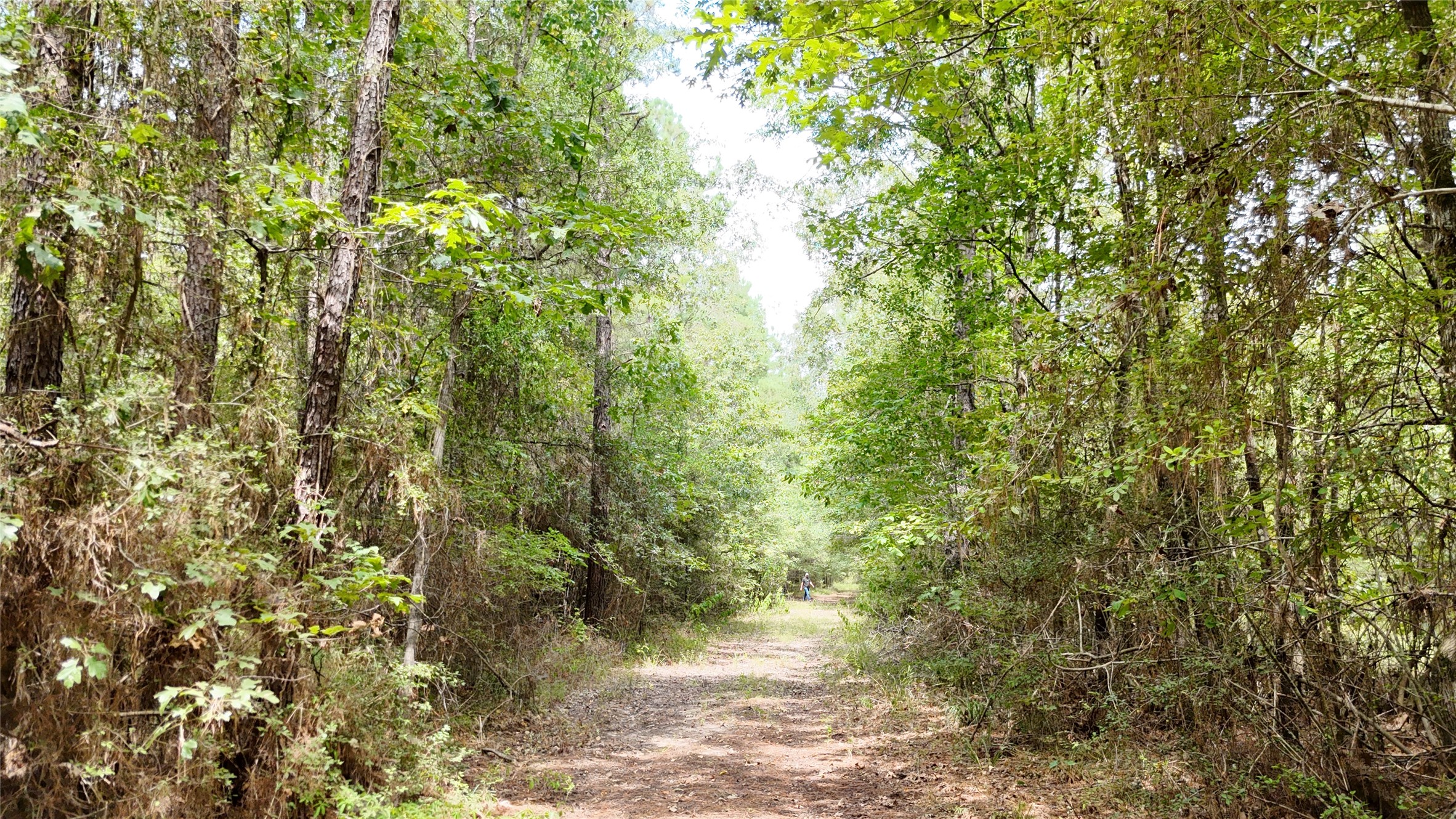 Tbd Douglas Nugent Road Property Photo 22