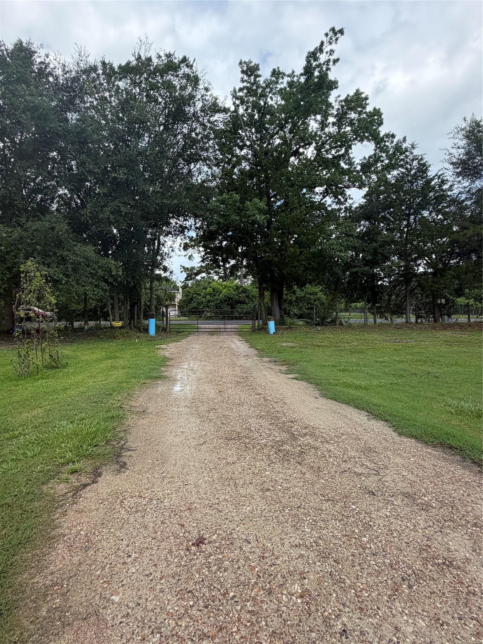 1246 County Road 676 Property Photo 4