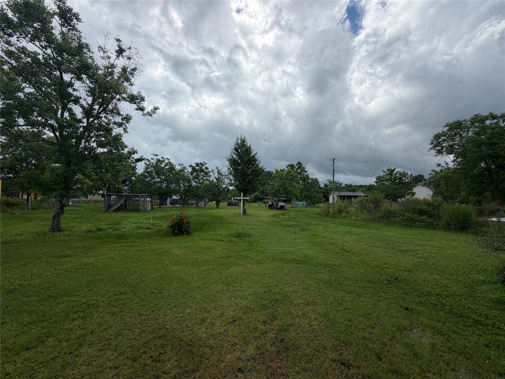 1246 County Road 676 Property Photo 9