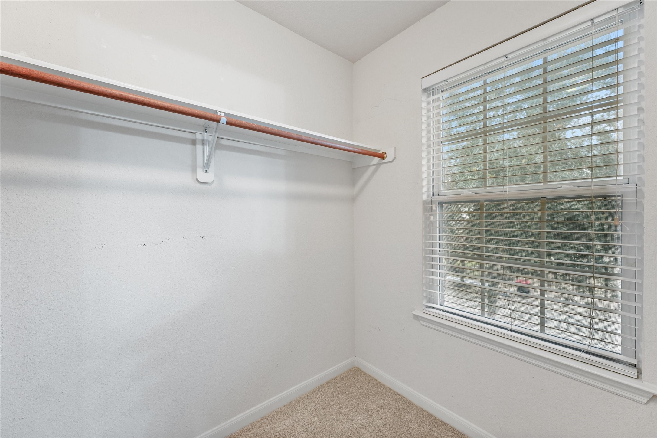 7507 Trail Hollow Property Photo 21