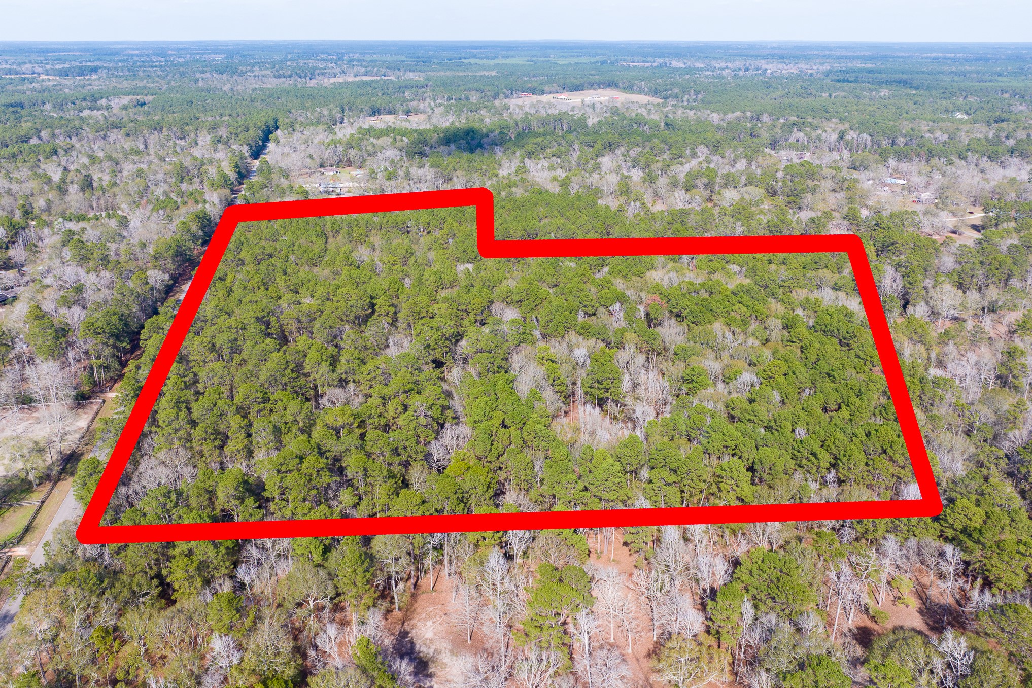 6698 Pine Shadows Road Property Photo 1