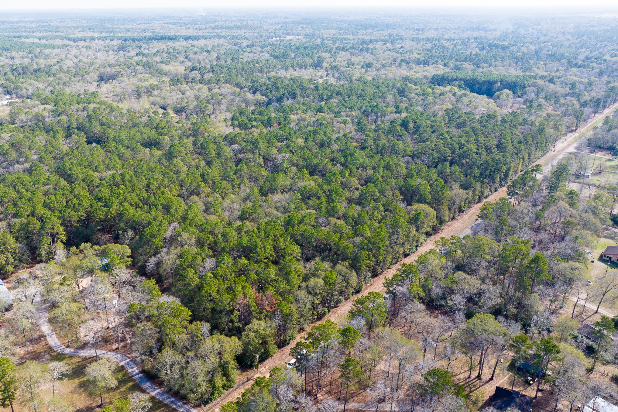 6698 Pine Shadows Road Property Photo 3
