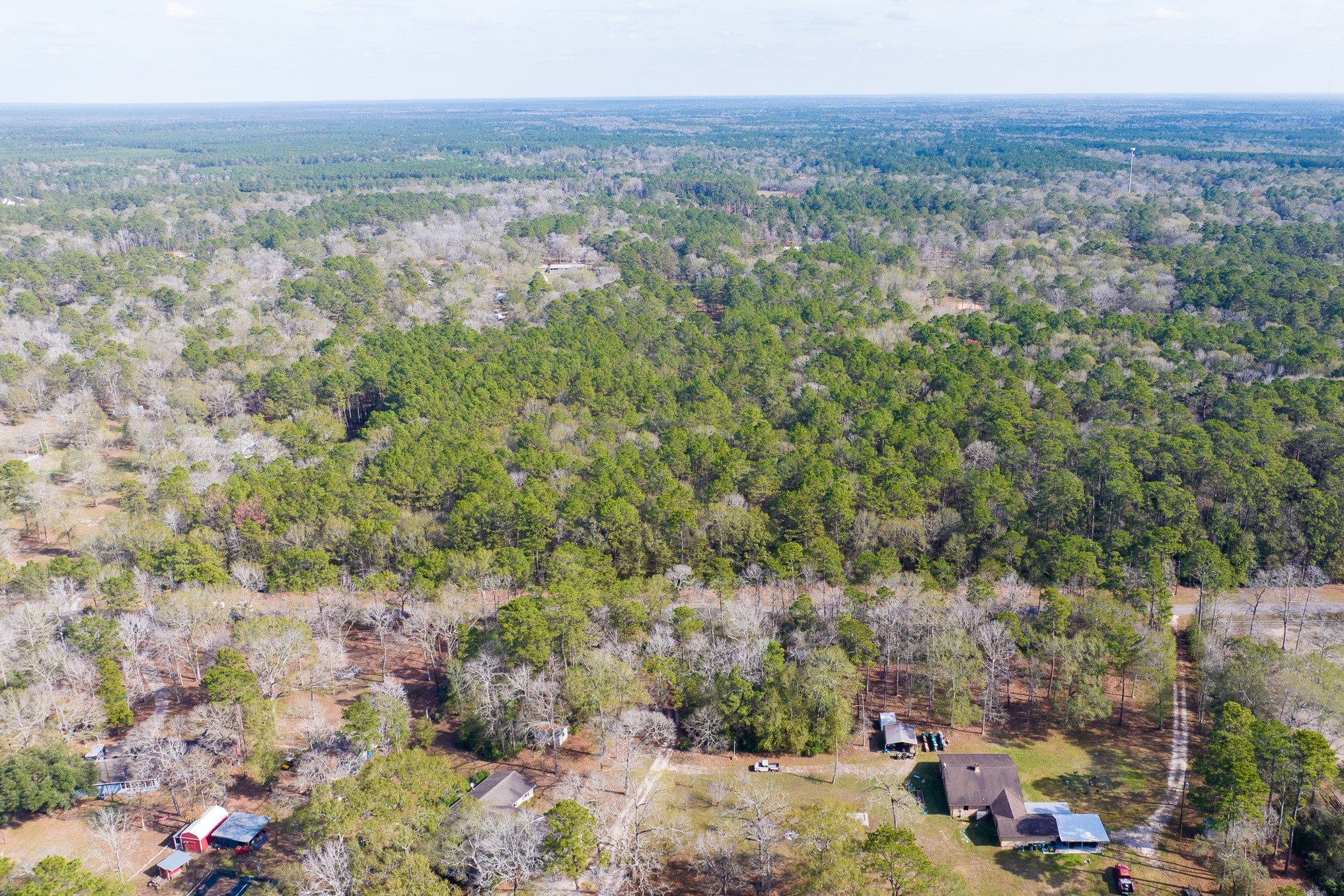 6698 Pine Shadows Road Property Photo 4