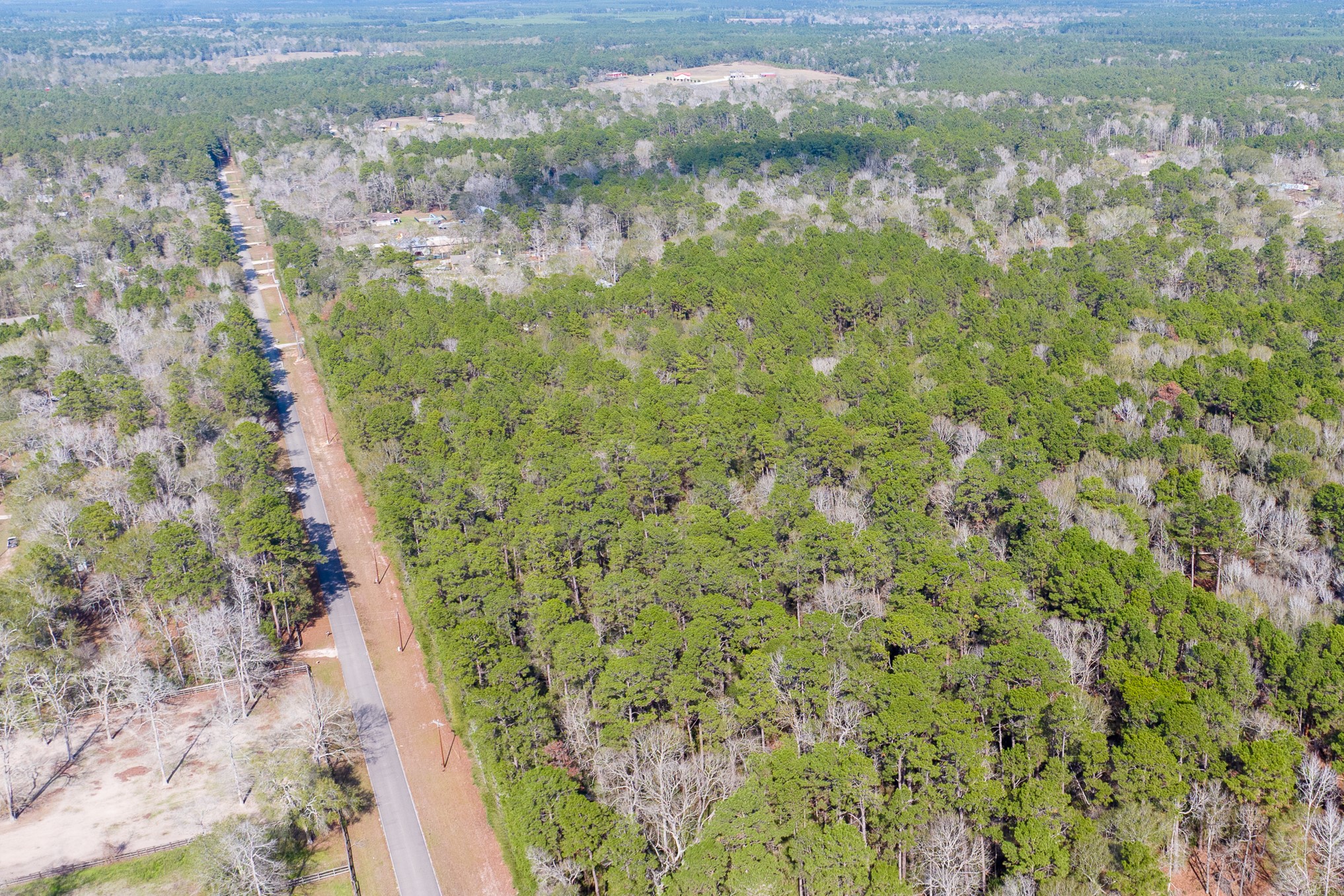 6698 Pine Shadows Road Property Photo 5