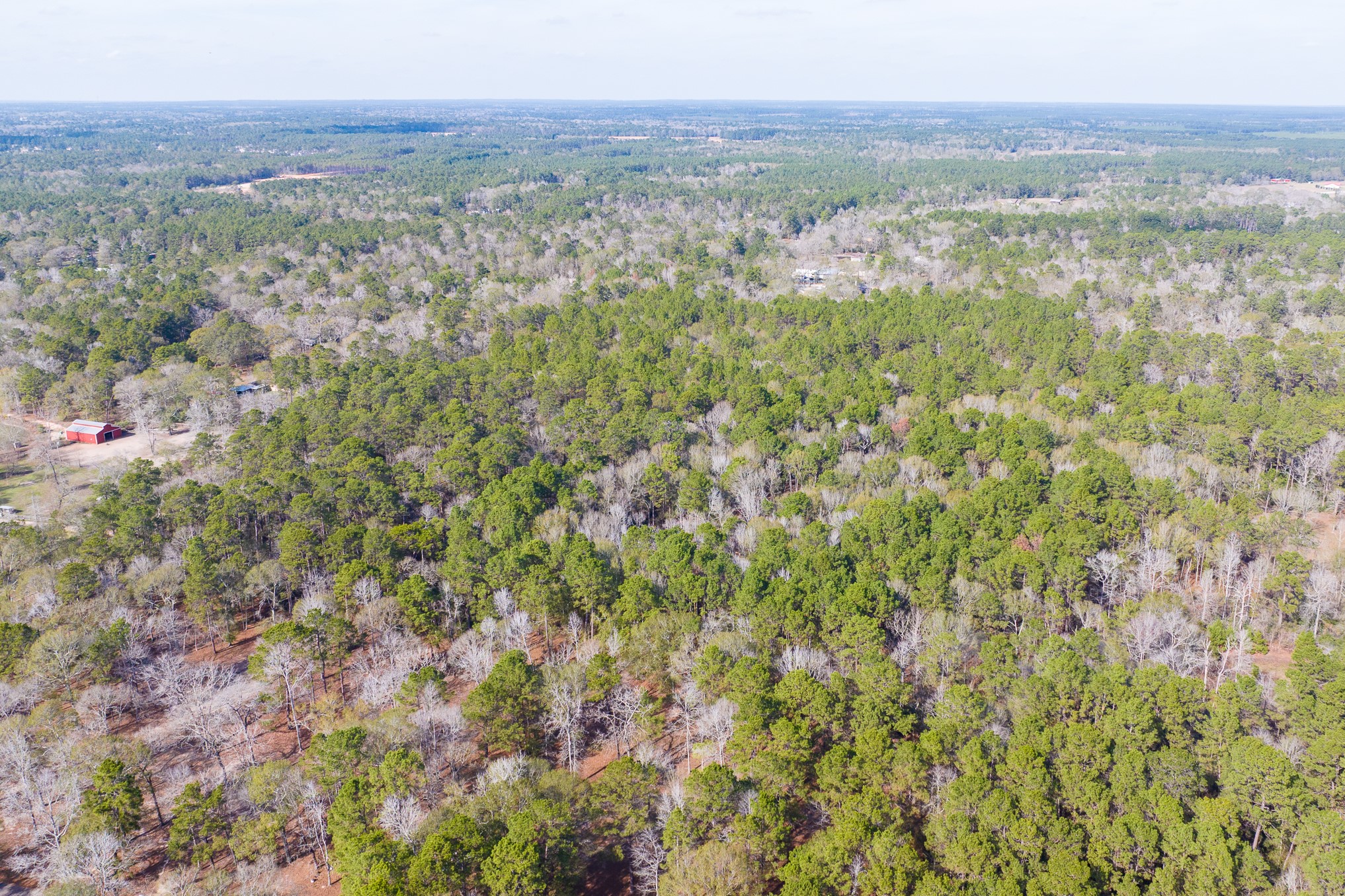 6698 Pine Shadows Road Property Photo 6