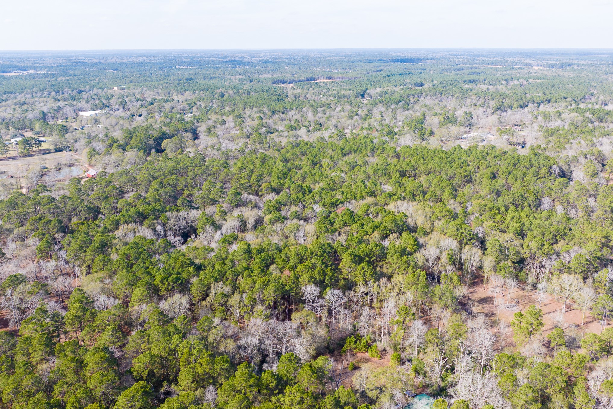 6698 Pine Shadows Road Property Photo 7