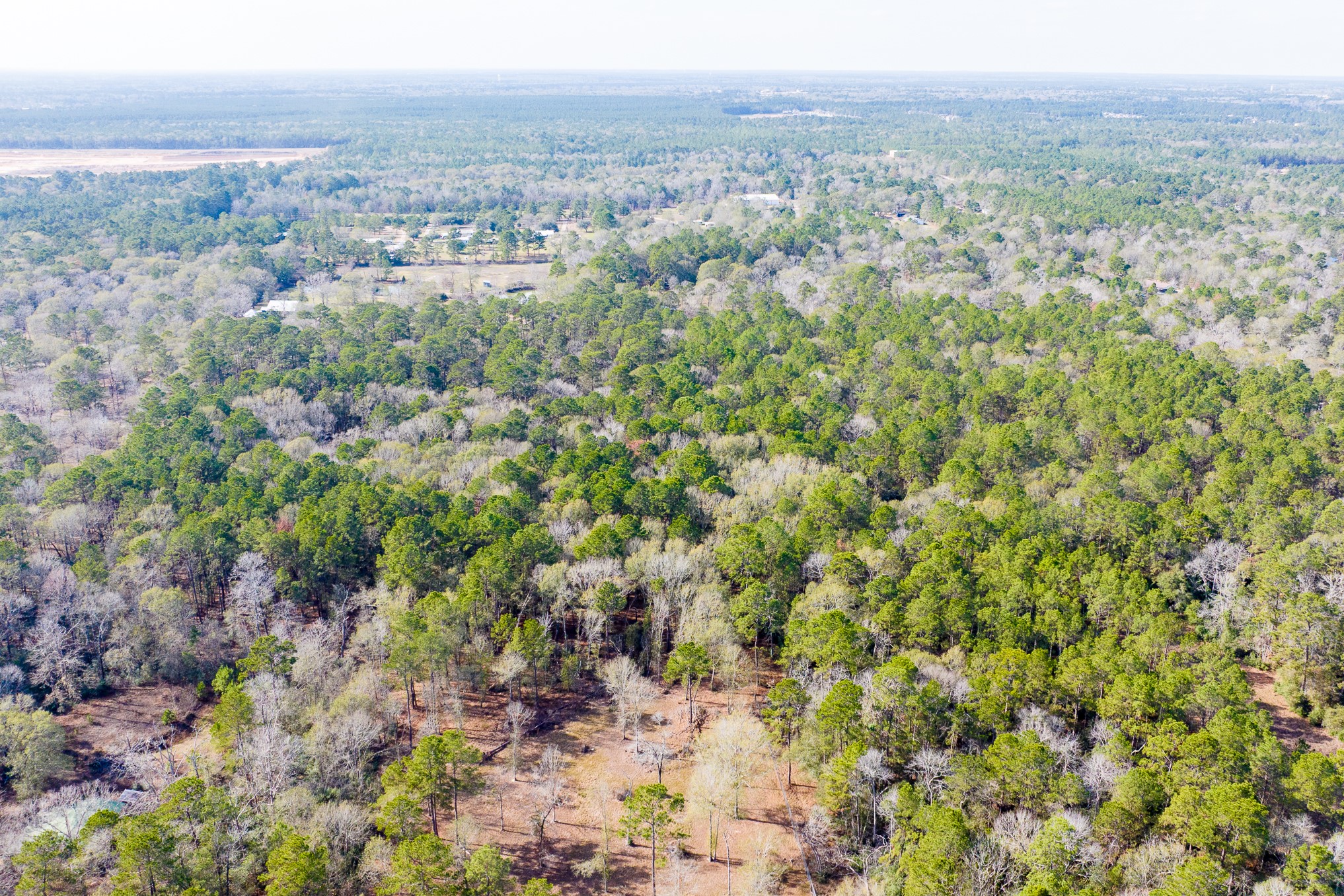 6698 Pine Shadows Road Property Photo 8
