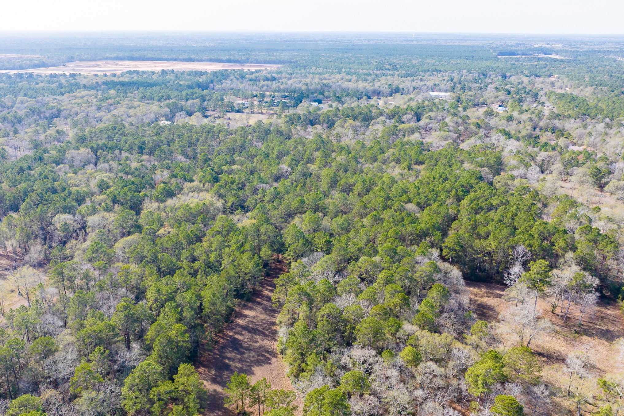 6698 Pine Shadows Road Property Photo 9