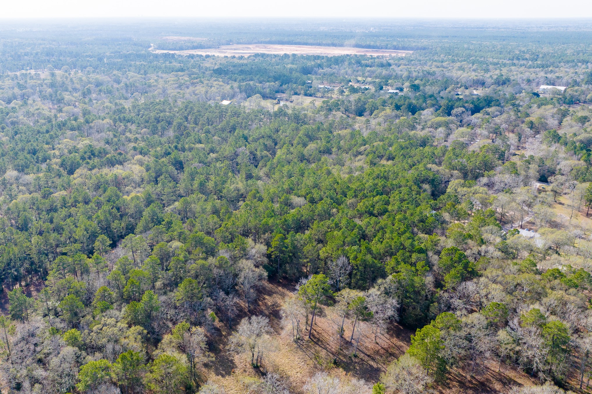 6698 Pine Shadows Road Property Photo 10