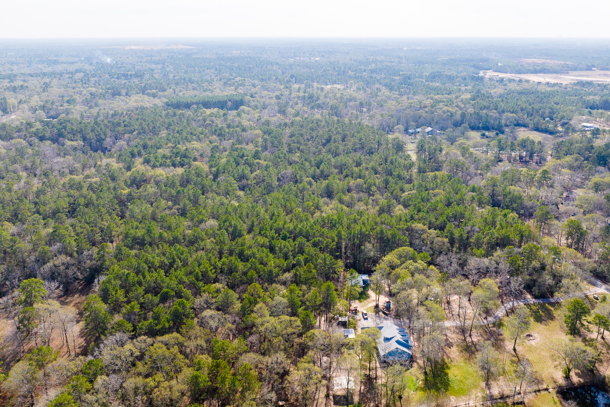 6698 Pine Shadows Road Property Photo 11
