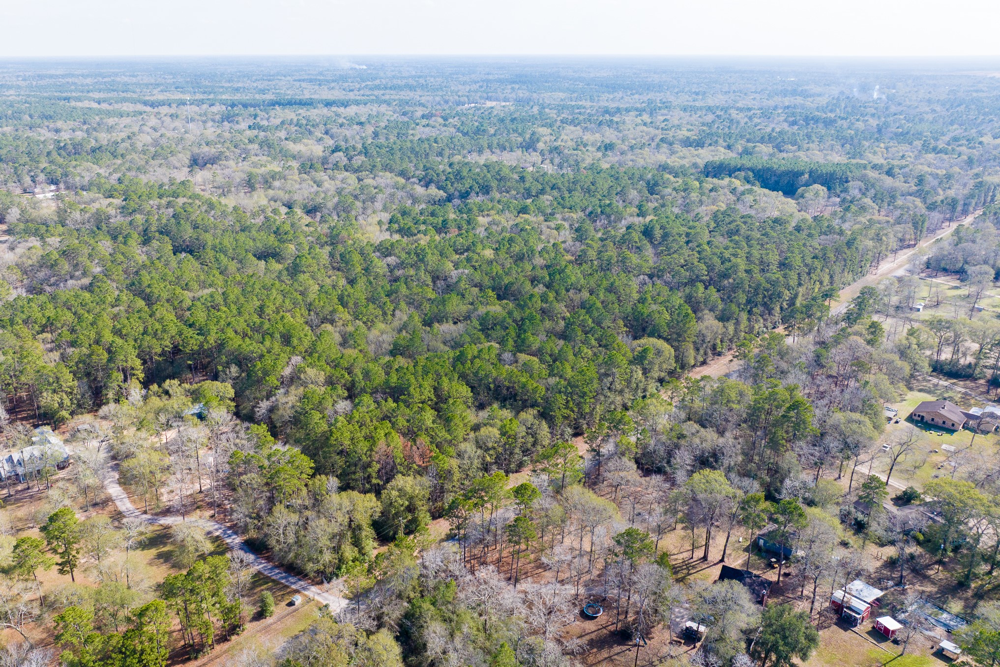 6698 Pine Shadows Road Property Photo 13