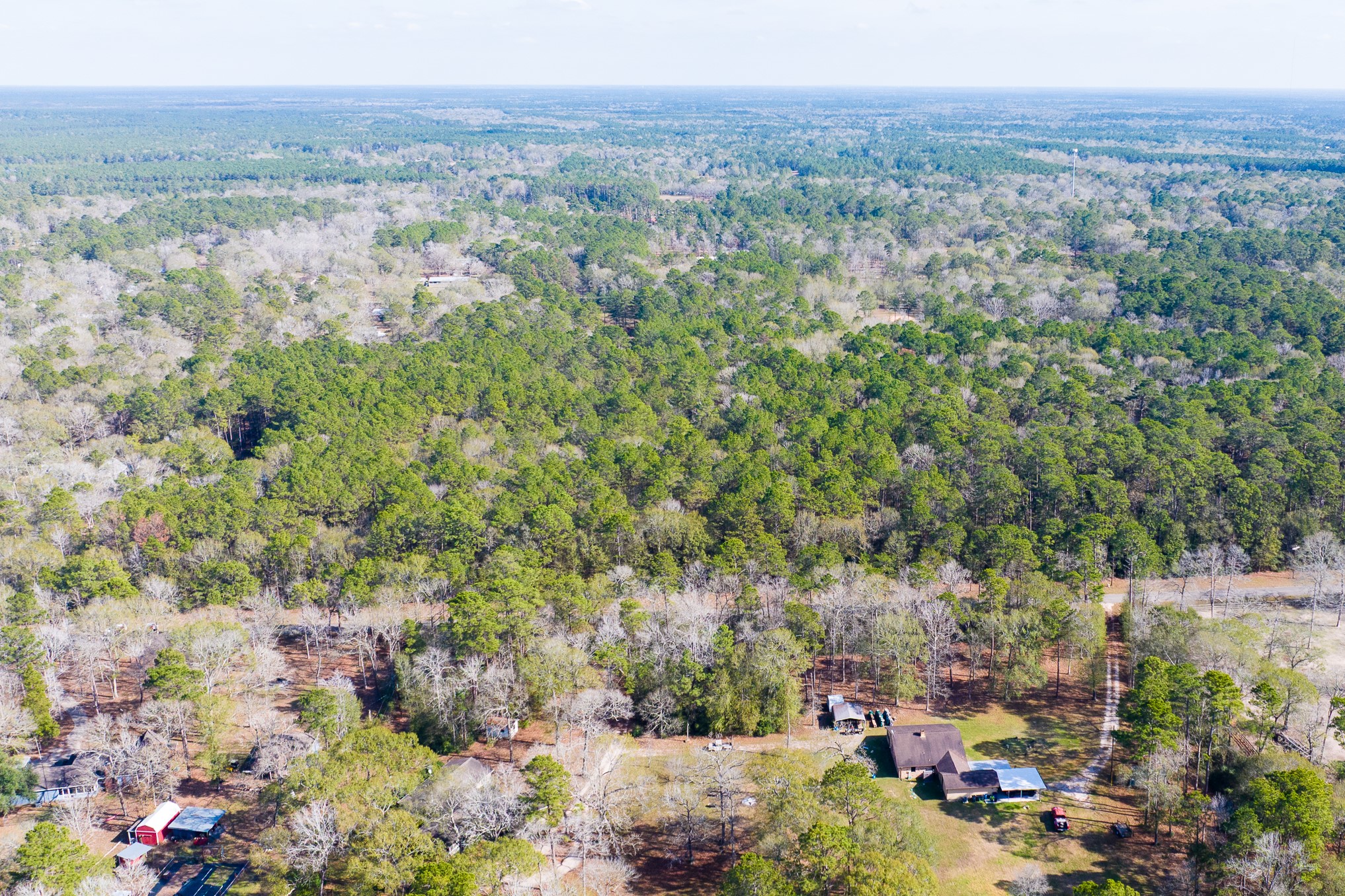 6698 Pine Shadows Road Property Photo 14