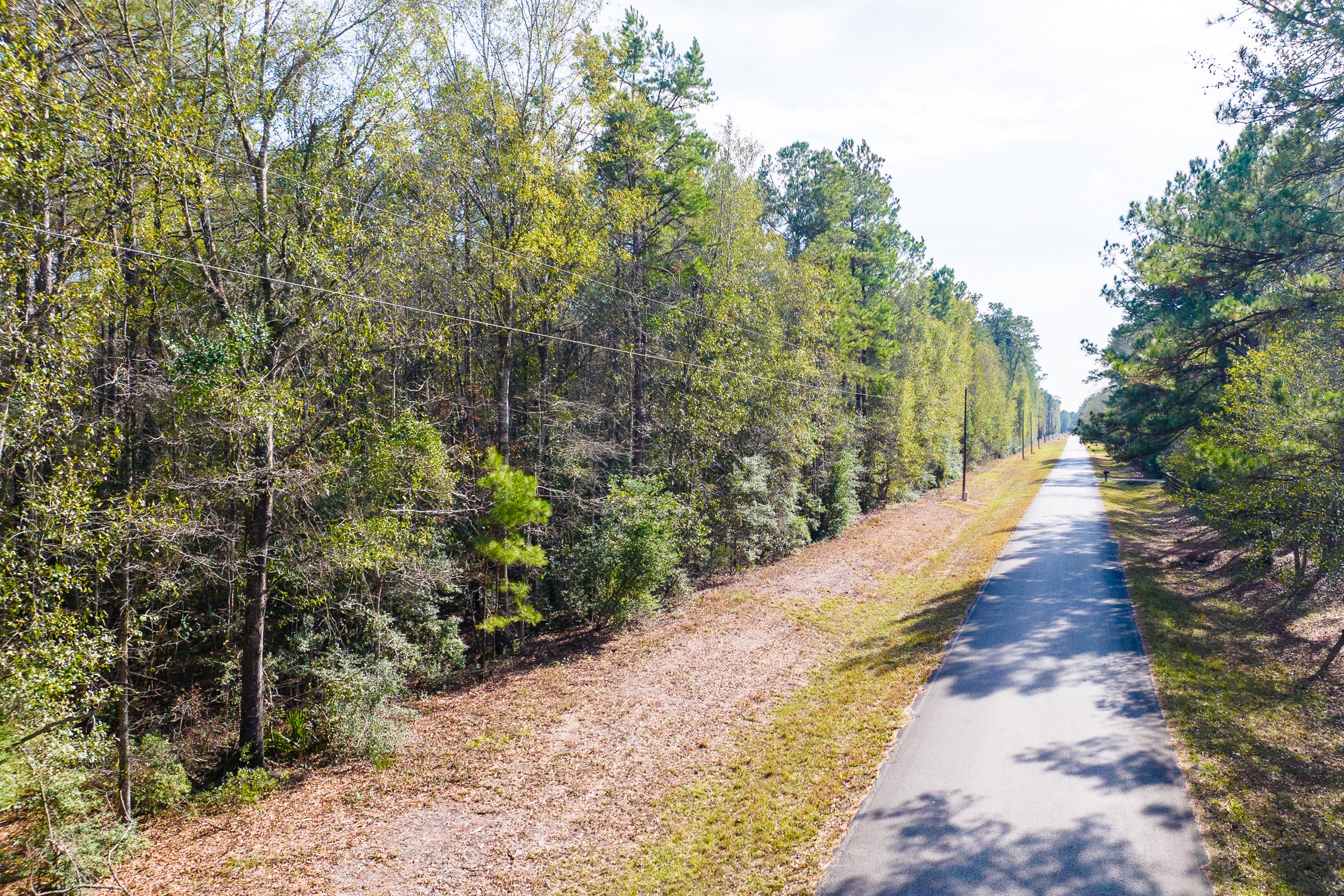 6698 Pine Shadows Road Property Photo 15