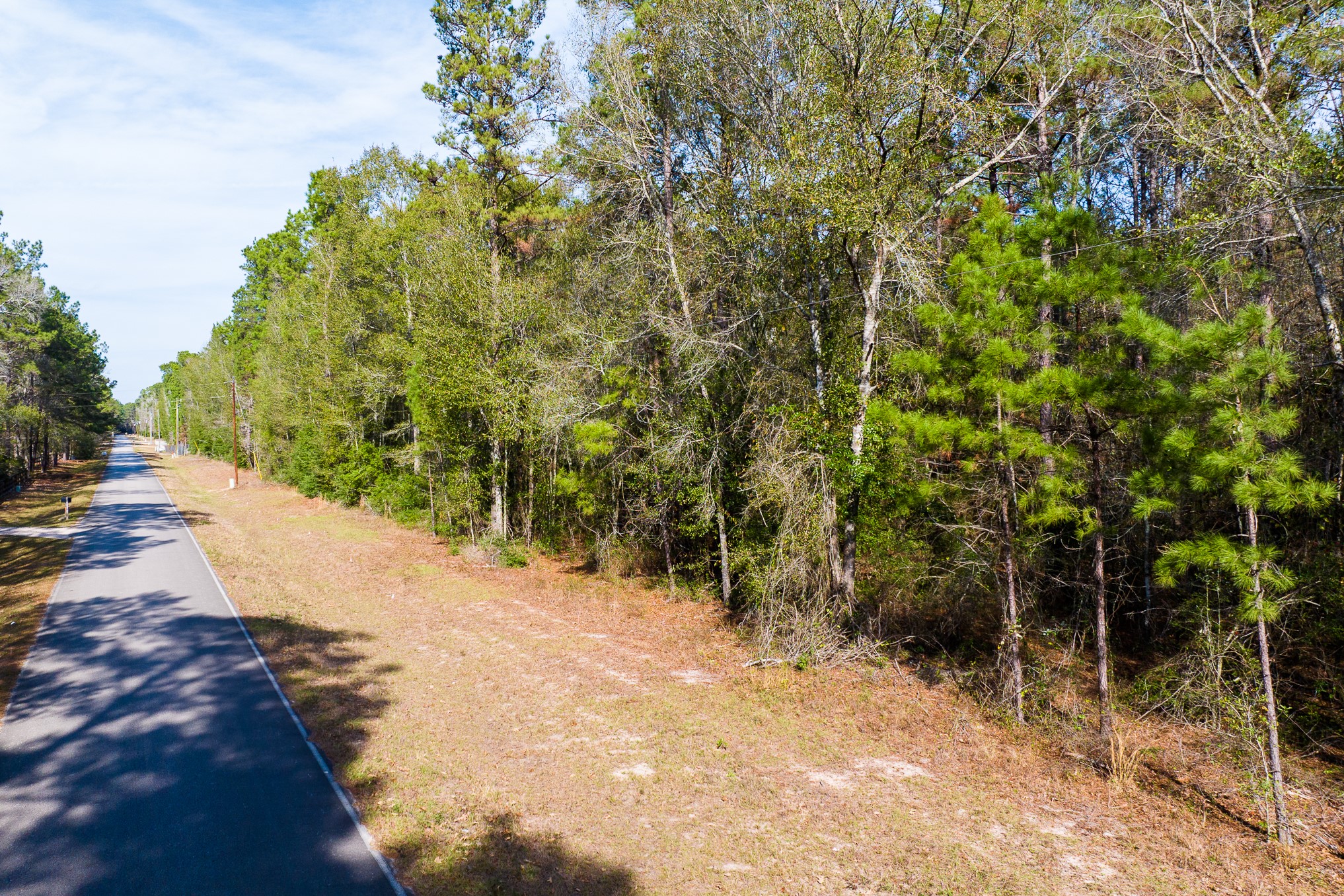 6698 Pine Shadows Road Property Photo 16